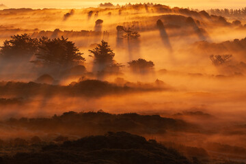 Tower lookout with beautiful sunrise at Lighthouse of Rubjerg Knude. Denmark north coast with wonderfully illuminated fog.