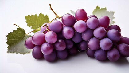 Fototapeta premium 真っ白な背景と紫のぶどう