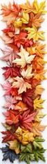 Fototapeta premium Autumn Leaves Collection.