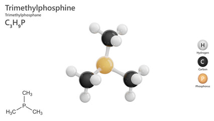 Molecule: Trimethylphosphine. Molecular structure. Formula: C3H9P. Chemical model: Ball and stick. White background. 3D illustration.