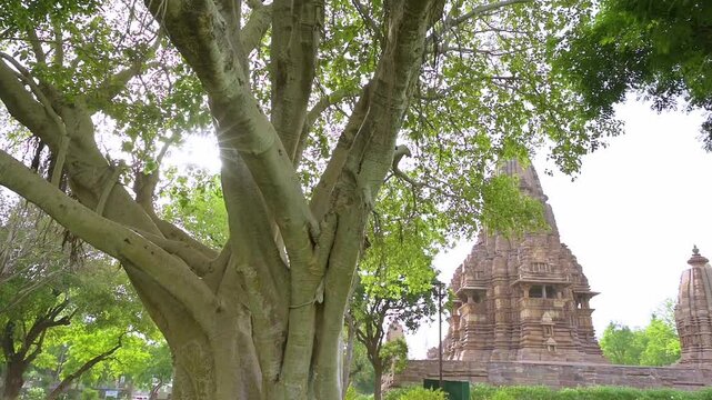 The Khajuraho Group of Monuments are a group of Hindu and Jain temples in Chhatarpur district, Madhya Pradesh, India. its an a UNESCO World Heritage Site.