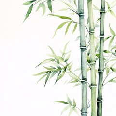 bamboo