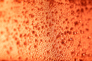 Close Up of Condensation Floating Liquid Water Bubbles and Drips on Glass from Rain
