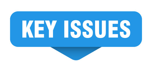 KEY ISSUES button, label, sign, banner