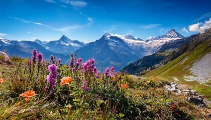 Mountain landscape of snowy peaks with spring blossoms on Mount Baldo, Italy