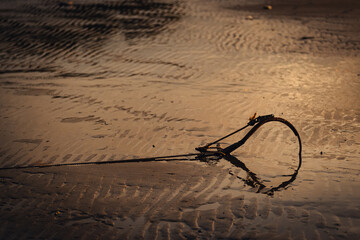 anchor on the sand resembling a heart shaped reflection