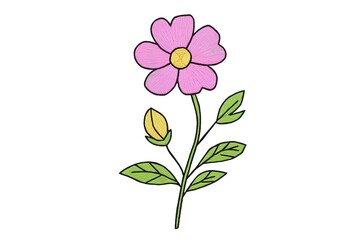 Hand-drawn, Detailed Illustration of a Pink Flower with Bud and Leaves