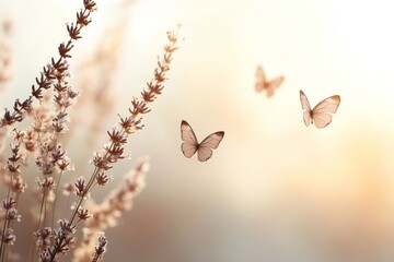 Butterflies flutter among wildflowers during a warm afternoon in a serene natural setting