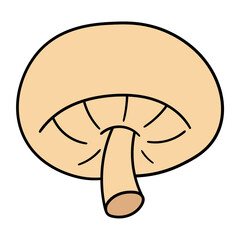 Hand drawn cartoon champignon mushroom on white background.