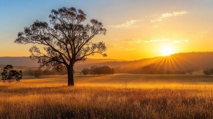 Obraz premium A serene landscape featuring a lone tree at sunrise, casting rays over a golden field.