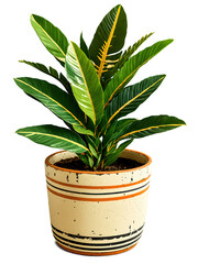 Vintage Vibes Retro-inspired pot with a classic zamioculcas, evoking vintage charm.