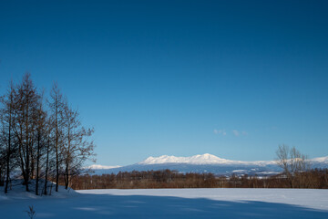 冬の澄んだ青空と雪山　大雪山連峰
