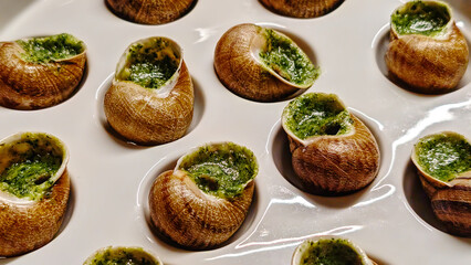 Close up of delicious escargot on a white plate ready to eat, snails backgrounds