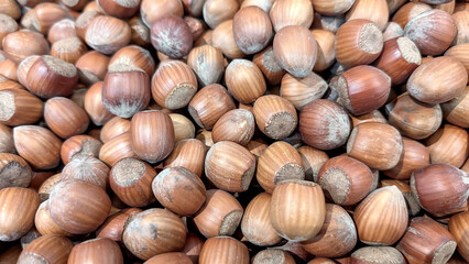 A close-up view of freshly harvested forest hazelnuts in nutshells in the farmer's market in France . Background of organic food.