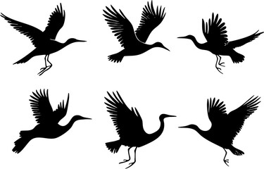 Obraz premium A collection of six stylized silhouettes of flying birds, showcasing elegant movements and graceful postures.