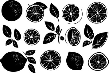 A stylish black and white illustration featuring various citrus fruits and leaves, perfect for culinary or botanical designs.
