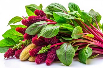 Garden Fresh Amaranth: Indian Red Stems & Green Amaranth - Culinary Delights