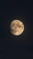 Fototapeta premium Gibbous Moon in Inky Black Night Sky