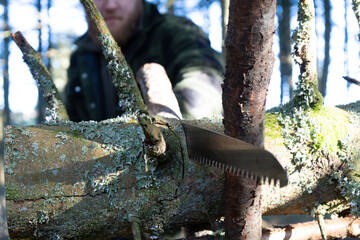 Person Working On Tree