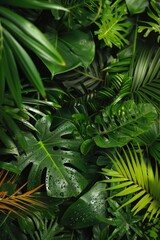 A dense and vivid tropical rainforest with rich vegetation and a canopy of leaves.
