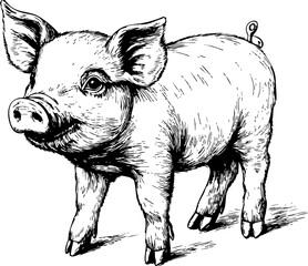 Fototapeta premium A playful cartoon illustration of a young pig, showcasing its cute features and friendly demeanor. Ideal for farm-themed designs.