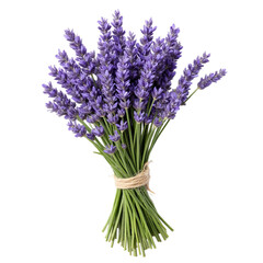 Obraz premium PNG of A vibrant bouquet of fresh lavender tied with rustic twine, exuding tranquility and natural beauty on transparent background.