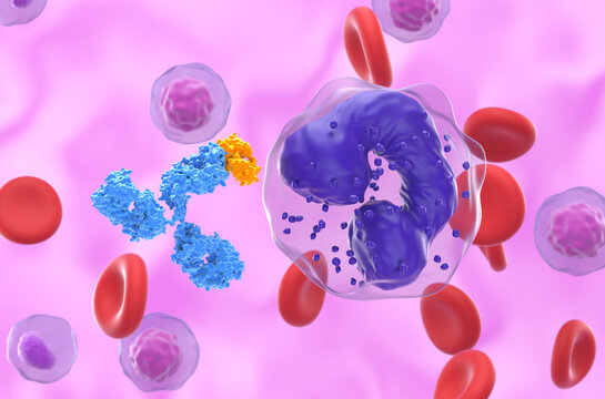 Monoclonal antibody therapy in Chronic Myelogenous Leukemia (CML) - closeup view 3d illustration