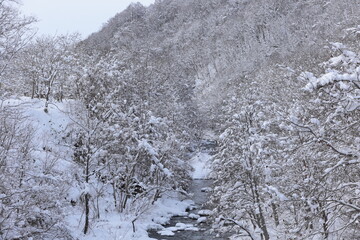 12月の美唄　真白に雪化粧した美唄川のほとり