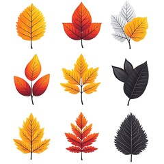 Obraz premium Vibrant autumn leaves, orange, red, yellow, fall, clipart, white background, high quality 