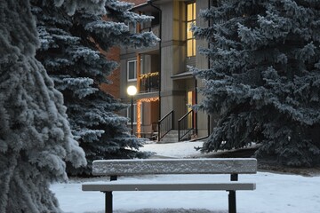Snowy Park Bench Surrounded by Frosted Evergreens in Calgary
