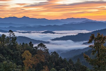 Fototapeta premium As the sun rises at Pha Tang, Chiang Rai, the hills are shrouded in mist, creating a sea of fog under a cloudy sky.