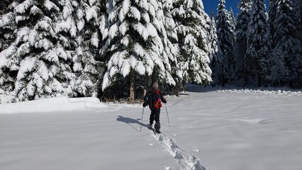 Premières neiges de décembre 2024, randonnée raquette dans le Vercors à Autrans en France