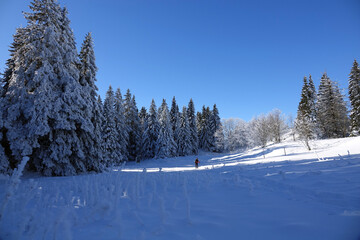 Premières neiges de décembre 2024, randonnée raquette dans le Vercors à Autrans en France