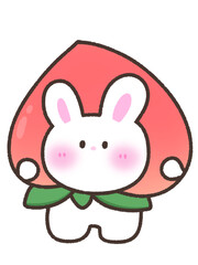 Rabbit peach