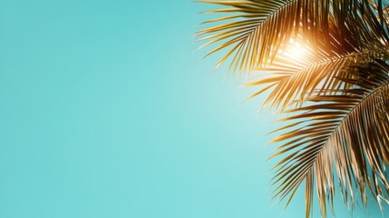 Golden palm leaves basking under the vibrant sunlight stand out against a clear blue sky, evoking notions of relaxation and tropical tranquility.