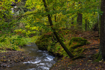 Herbstidylle im Polenztal in der Sächsischen Schweiz 3