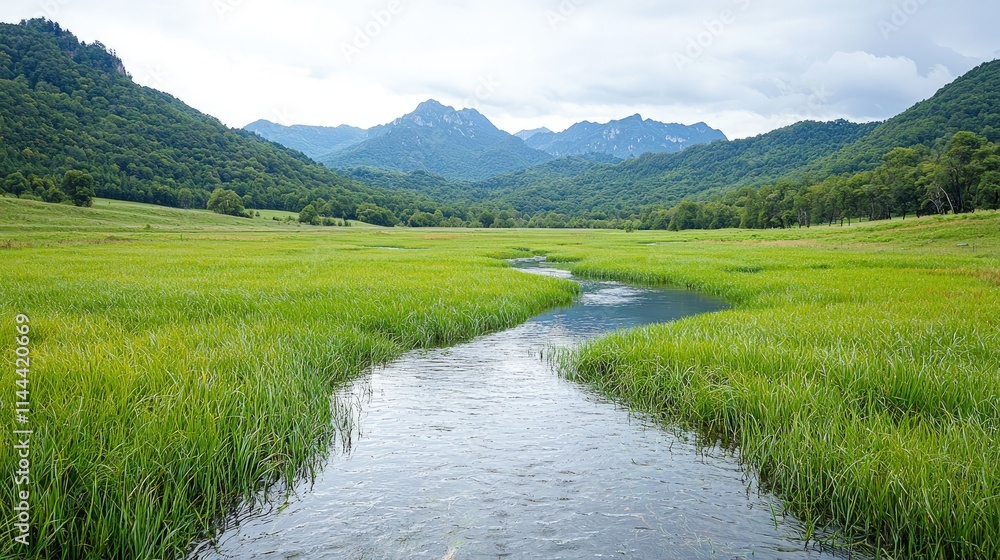 Sticker Serene mountain valley with a stream flowing through lush green grass.