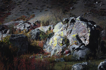 Scenic boulders and rocks scattered across the mountains of the Altai Republic, showcasing the natural beauty of the rugged landscape.
