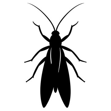 Caddisfly silhouette vector illustration on white background