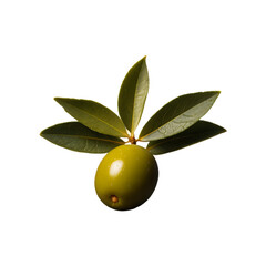 Natural and fresh olive java isolated on a  transparent background