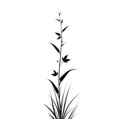 Naklejka premium Silhouette of a tall grass with leaves.