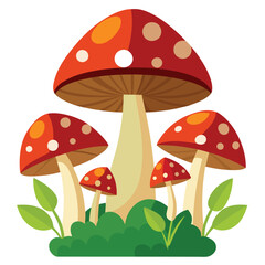 mushrooms on a white background