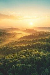 Obraz premium Misty sunrise over a lush forest with rolling hills in the background.