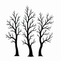 Obraz premium Tree silhouettes in black on white background
