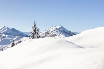 Winter in the Austrian Alps. Snowy background with copy space © Olha Sydorenko