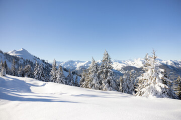 Snow covered forest in the Alps. Winter mountain background 