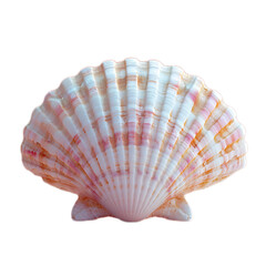 Fototapeta premium Isolated Close-Up of a Beautiful Shell on a Plain Background, Perfect for Nature and Marine Life Themes, Ideal for Stock Photography and Creative Projects