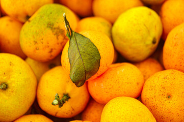 Orange citrus fruits in a fruit shop basket. Focus on fruit, noisy, exposure, similar others
