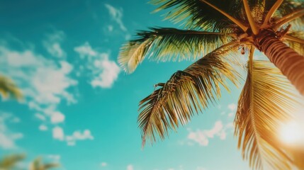 The majestic coconut palm's fronds stretch towards a sky filled with fluffy clouds, capturing the essence of tropical allure and natural beauty in a sunny setting.