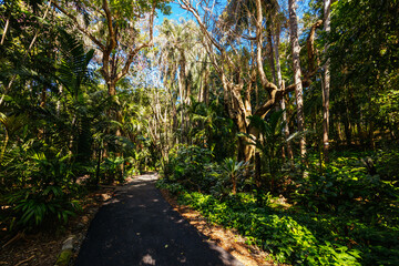 Obraz premium City Botanic Gardens in Brisbane Australia